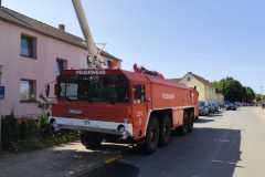 IMG-20240824-WA0016