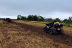 IMG-20240817-WA0086